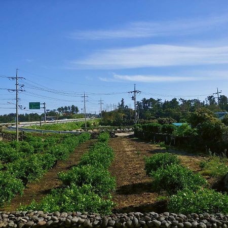 Вилла Orchard Samdal Согвипхо Экстерьер фото