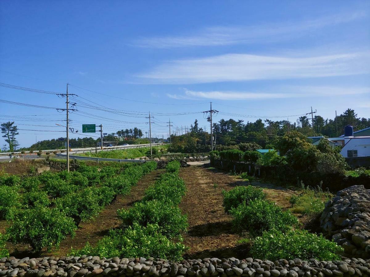 Вилла Orchard Samdal Согвипхо Экстерьер фото